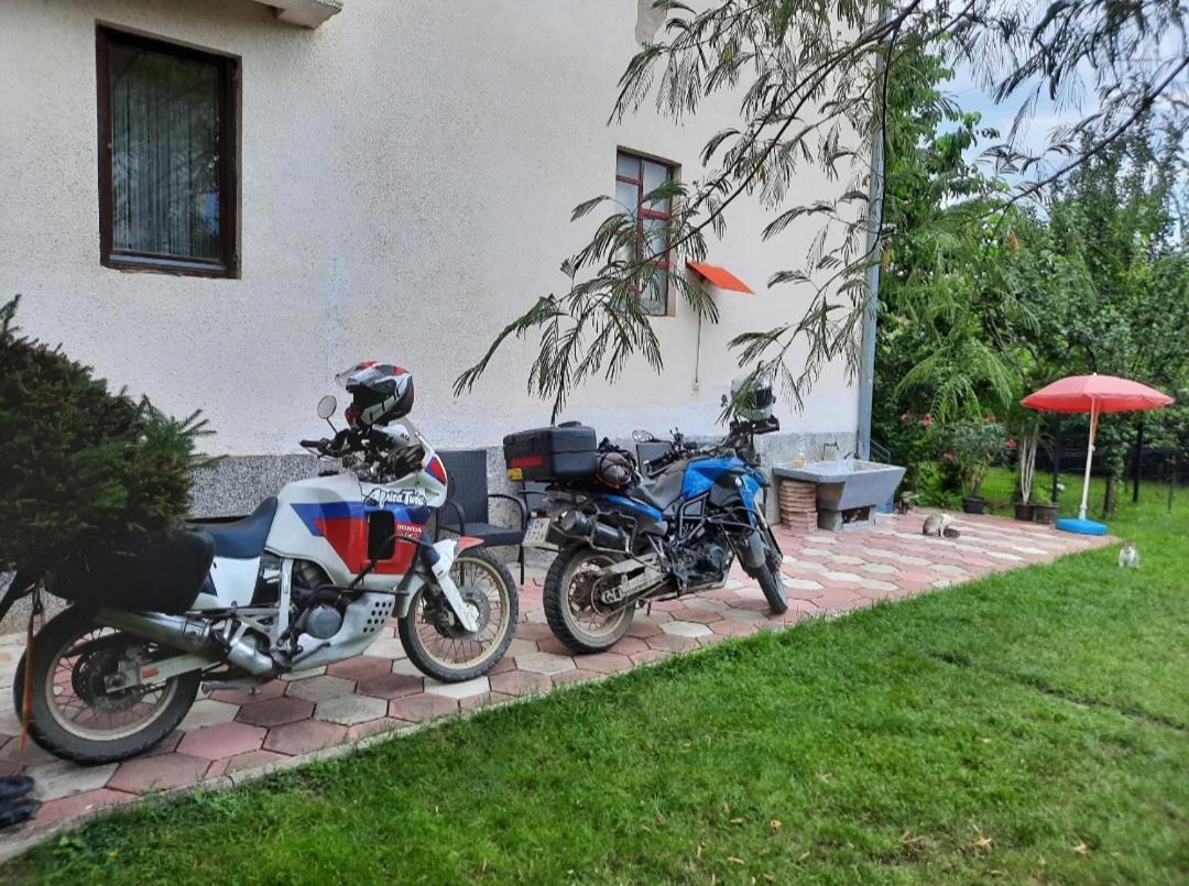 Travel Hostel - 400M From Bus Station Πέγια Εξωτερικό φωτογραφία