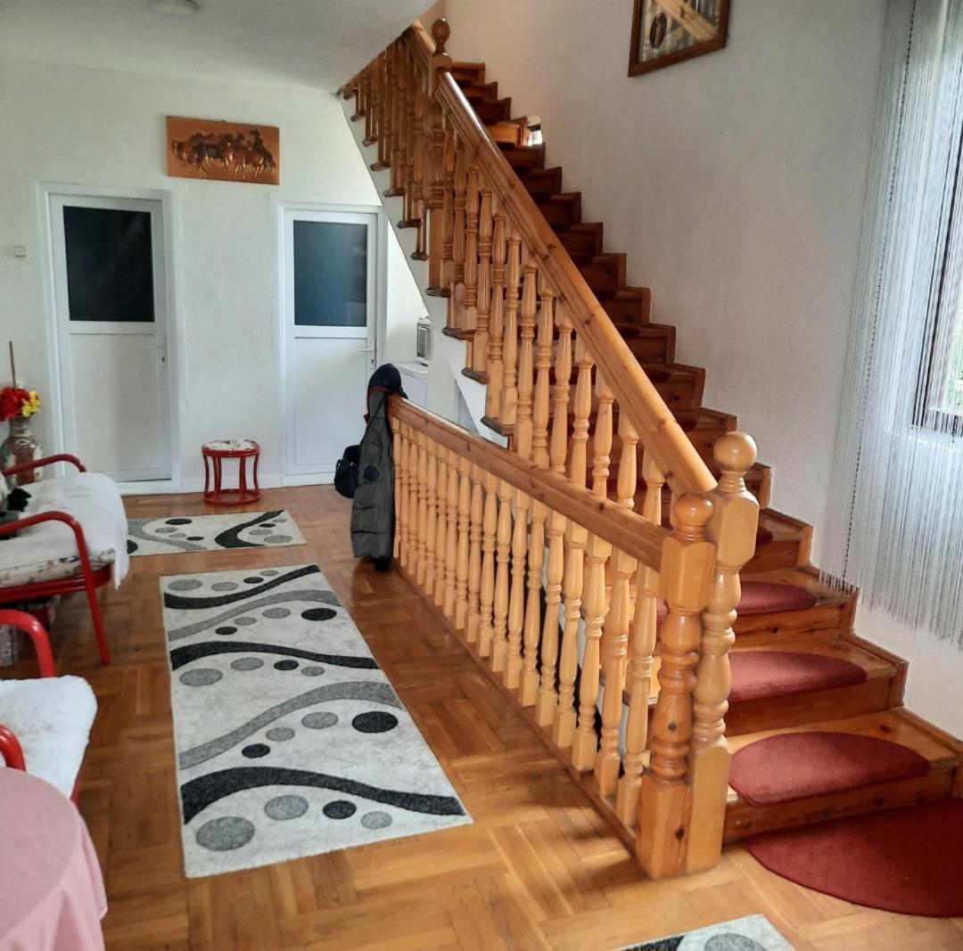 Travel Hostel - 400M From Bus Station Πέγια Εξωτερικό φωτογραφία